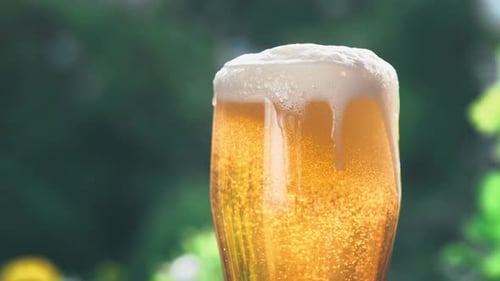 Glass of Fresh and Cold Light Beer