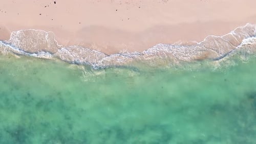 Beach sea palm island tropical ocean sand tree sky water paradise travel nature vacation summer.