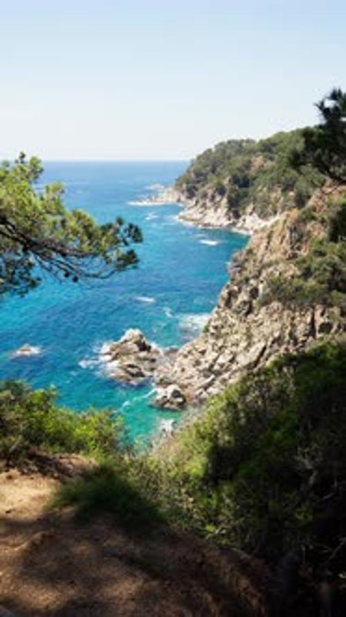 Stunning Rocky Coastline with Turquoise Water and Vegetation