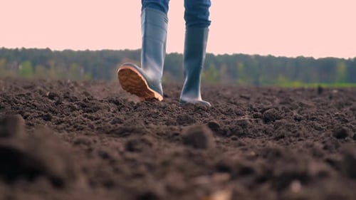 Farmer Walks Across the Field on the Soil
