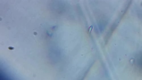 Microscope magnification close up bacteria micro organism particle global virus