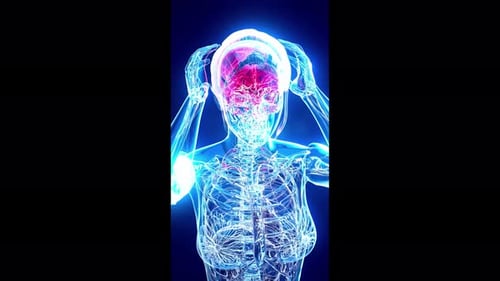 Animación vertical conceptual del cerebro