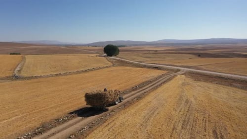 Aerial View Of Tractor Driving On Country Road In Farmland