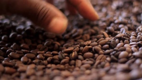 Hand Scooping Roasted Coffee Beans Close Up