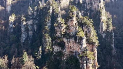 Drone aerial of tall green-covered sandstone pillars and vertical cliffs in Zhangjiajie National