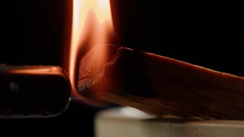 Persona que sostiene un palo de madera de Palo Santo en la mano, aromático Palo Santo ardiendo sobre fondo negro, humo