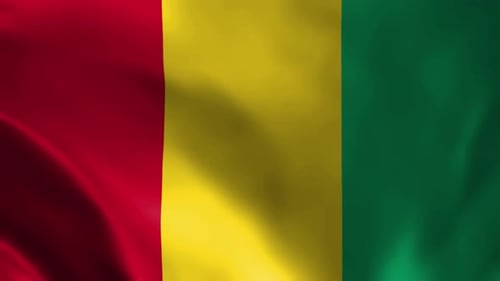 Guinea National Flag Waving Seamless Loop Vertical