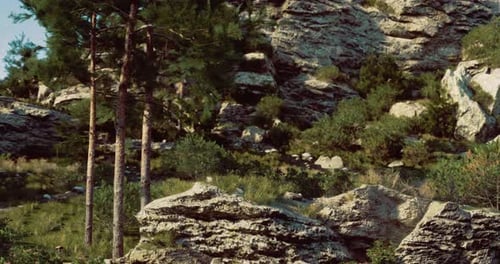 Rocky Landscape with Green Vegetation and Tall Trees Under Clear Skies