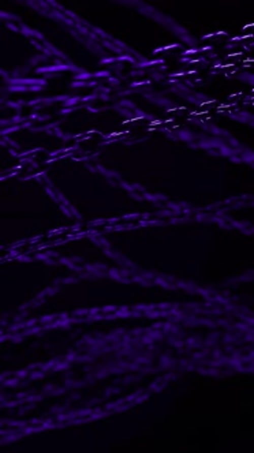 Numerous purple lights illuminate a dark background, creating a mesmerizing visual display.