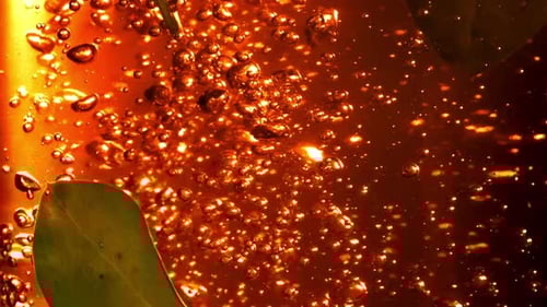 Bubbles in Amber Liquid with Green Leaf