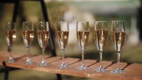 Champagne Glasses Lined Up for an Outdoor Wedding