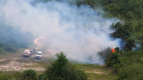 Wild Vegetation Fire Spreads Across Forested Landscape in Florida with Firefighters Working in Heavy