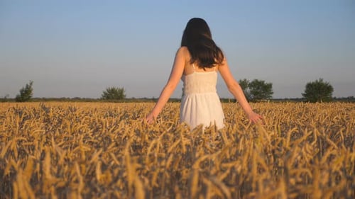 Unrecognizable Woman Walking Through Field with Ripe Wheat Sunny Day