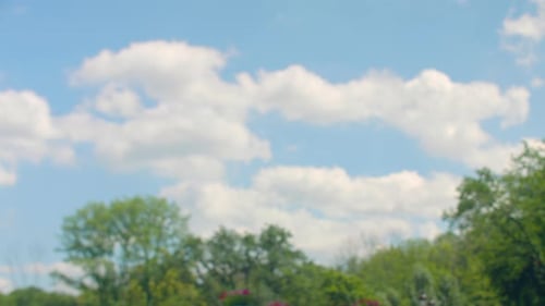 Woman Running in Park on Sunny Day