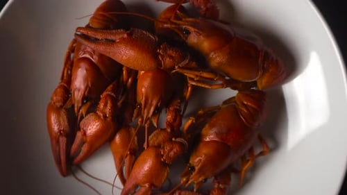 Boiled Crayfish Served on White Plate Top View Seafood Delicacy