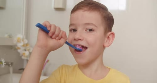 Boy Brushing Teeth in a Bright Bathroom