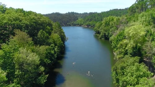 Fluss Und Wald