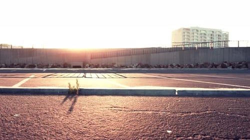 Empty Beach Car Park Spaces Covered in Asphalt