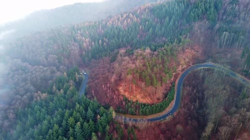 Highway Lies on Slopes of Hills in a Valley with Pine Forests Covered with White Fogs in Sunlight