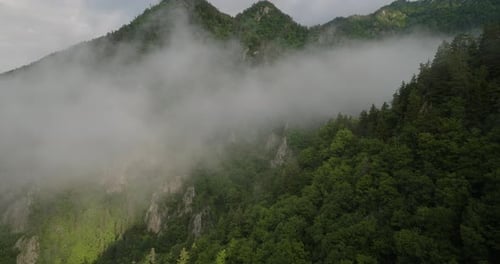 Misty Clouds On Rocky Mountains With Dense Forest In Borjomi Nature Reserve, Georgia. Aerial Drone S