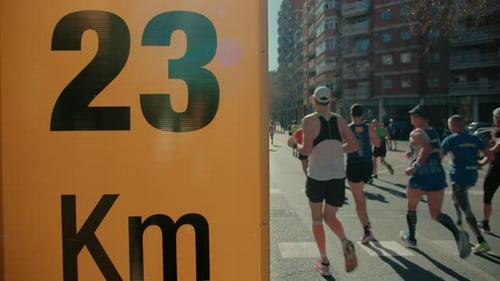 Group of Runners Compete in Marathon or Triathlon