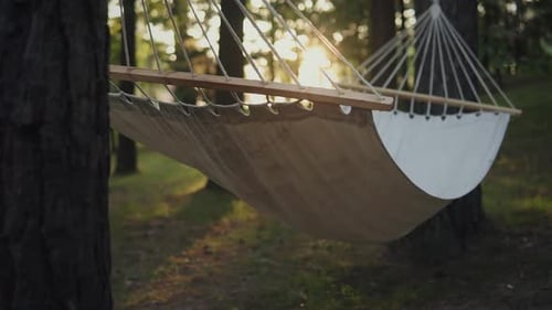 White Hammock in Garden Closeup