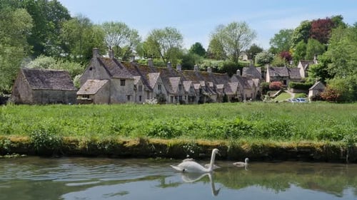 White Swans swimming in front of old village Bibury in England