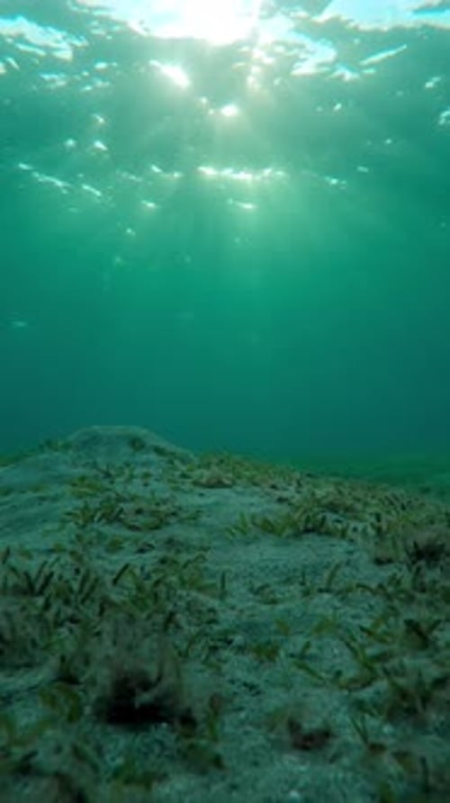 Slow motion, fonds marins sableux dans des rayons de soleil éclatants au lever du soleil
