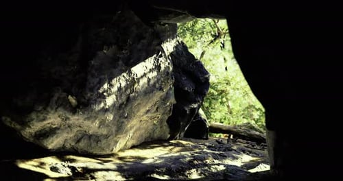 View From a Cave Entrance Revealing Lush Greenery and Natural Light