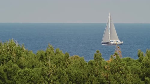 Sailboat Sails in the Sea