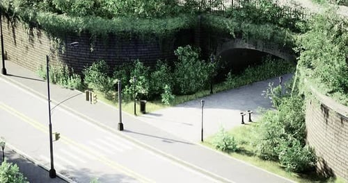 Nature Reclaiming Urban Space Under Bridge in a Quiet Neighborhood Area