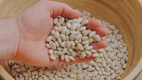 Beans In Palm Detailed View Of Hand Supporting Lightcolored Beans Above Rustic Kitchen Bowl