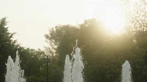 Le soleil couchant dans le parc traverse les arbres et illumine une haute fontaine.