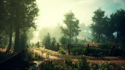 A Serene Forest Landscape with a Rustic Fence