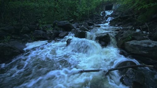 Low Angle Closeup of Waterfall Flowing Stream in a Dark Moody Forest