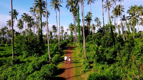 Men and Women Walking at a Road Between Palm Trees at the Island of Koh Mak Thailand