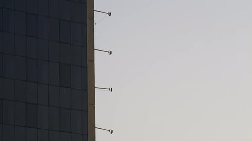 Glass office building exterior downtown drone shot birds flying at clear sky