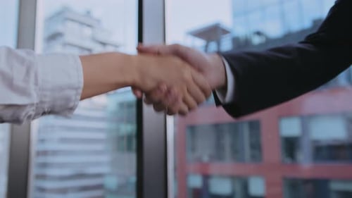 Business Partners Seal Deal with Handshake in Office