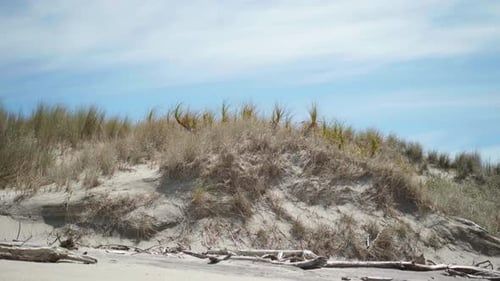 Discover the captivating beauty of a low-angle shot capturing the details of a majestic sand dune. N