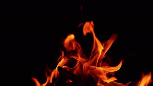 Piled wooden chops burning in the campfire. Fire flames moving to the sides at night. Close up.