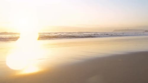 4k video footage of a man going for a walk with his dog on the beach at sunset