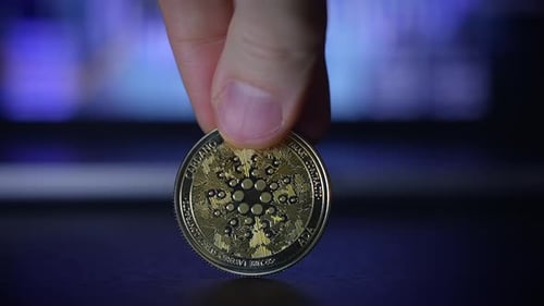A CloseUp Image of a Hand Holding a Cryptocurrency Coin Representing Digital Wealth