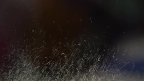 Close Up Vitamin Tablet Fizzing Slow Motion 4K
