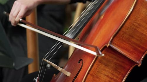 Close up shot of women hand on the violin. Violin player hands. Violinist playing violin close up