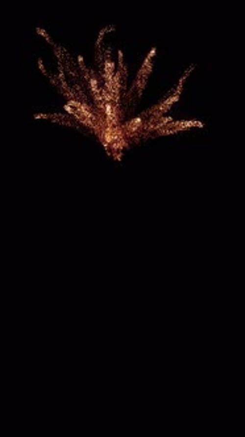 Golden Sparkling Particle Burst Reveal Transition