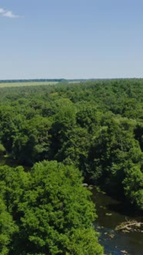 Tolle Natur im Sommer. Flug über den grünen Wald. Wunderschöner blauer Fluss im Wald
.