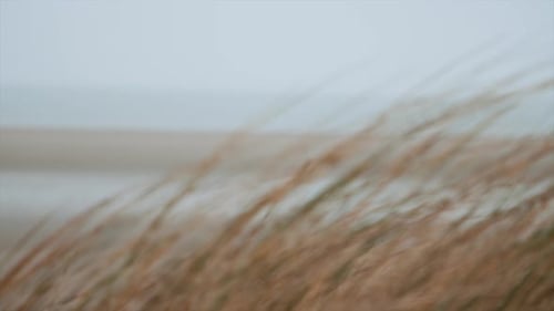 Bliss on a Tranquil Sandy Beach