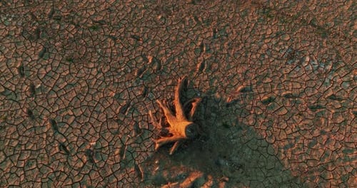 View From Above of Cracked Earth and Dry Soil
