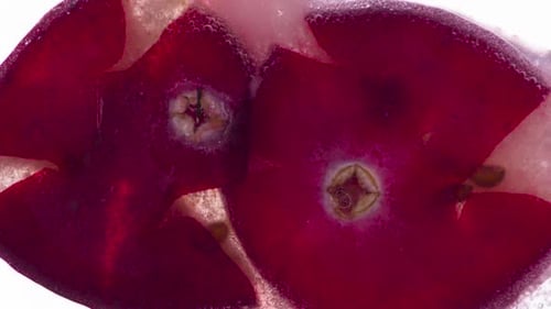 Crushing Cranberries Extreme Close Up Food Footage