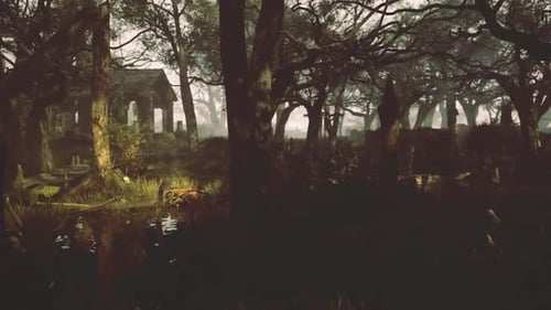 Scène de forêt mystérieuse remplie de ruines anciennes et de lumière rougeoyante